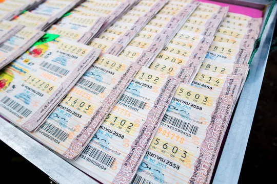 动物运动会开奖直播